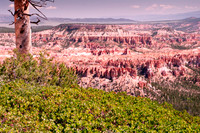Over looking the Hoodoos