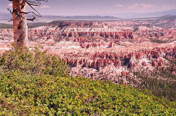 Over looking the Hoodoos