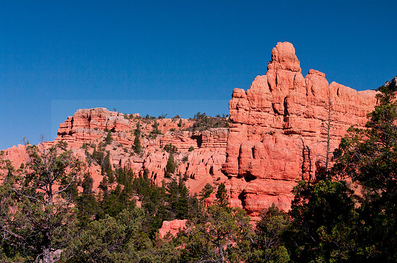 Formations in Dixie National Park