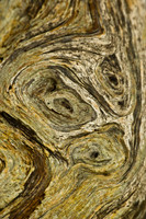 Abstract in wood