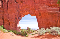 Pinetree Arch