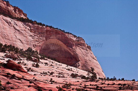 Alcove in Zion NP