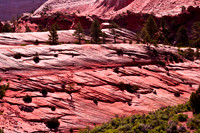 Rock formations in Zion National Park 2281