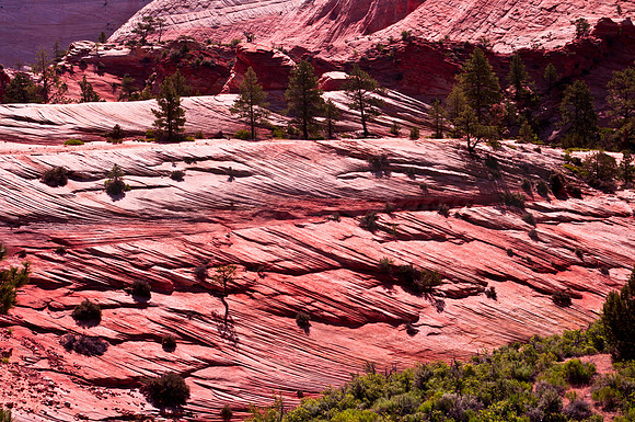 Rock formations in Zion National Park 2281